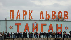 Парк львов Тайган в Крыму. Архивное фото Парк львов Тайган в Крыму. Архивное фото