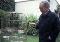 Писатель Габриэль Гарсия Маркес Писатель Габриэль Гарсия Маркес