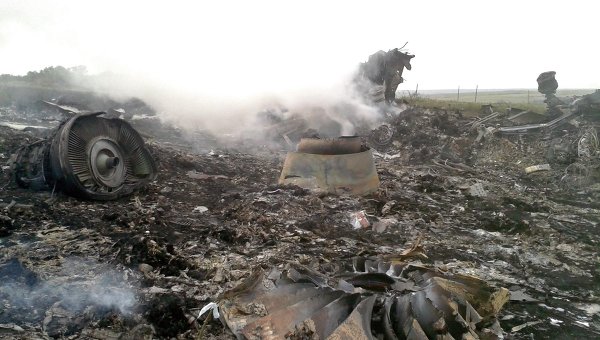 Живодерки новости суд