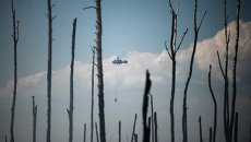 Вертолет пожарной охраны на месте лесных пожаров в Тверской области Вертолет пожарной охраны на месте лесных пожаров в Тверской области