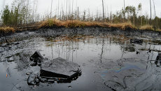 Разлив нефти. Архивное фото Разлив нефти. Архивное фото