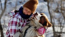 Девочка играет с австралийскими овчарками во время предновогодних соревнований Веселые старты ездовых собак Девочка играет с австралийскими овчарками во время предновогодних соревнований Веселые старты ездовых собак