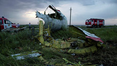 Место крушения малайзийского лайнера Boeing 777 в районе Шахтерска. Архивное фото Место крушения малайзийского лайнера Boeing 777 в районе Шахтерска. Архивное фото