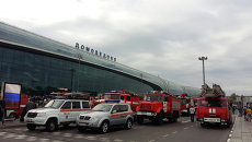 Пожарные машины у аэропорта Домодедово Пожарные машины у аэропорта Домодедово