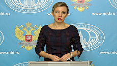 Захарова выразила недоумение от некоторых публикаций о Су-24 в турецких СМИ Захарова выразила недоумение от некоторых публикаций о Су-24 в турецких СМИ