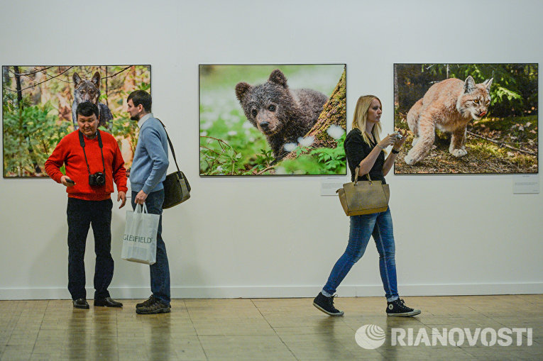 Посетители на фотовыставке, которая открылась в рамках III Общероссийского фестиваля природы Первозданная Россия в Центральном Доме Художника в Москве Посетители на фотовыставке, которая открылась в рамках III Общероссийского фестиваля природы Первозданная Россия в Центральном Доме Художника в Москве