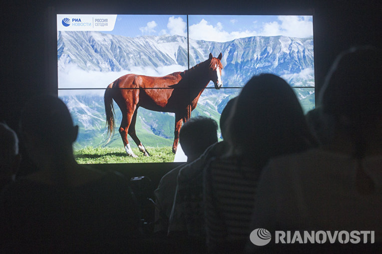 Посетители на фотовыставке, которая открылась в рамках III Общероссийского фестиваля природы Первозданная Россия в Центральном Доме Художника в Москве Посетители на фотовыставке, которая открылась в рамках III Общероссийского фестиваля природы Первозданная Россия в Центральном Доме Художника в Москве
