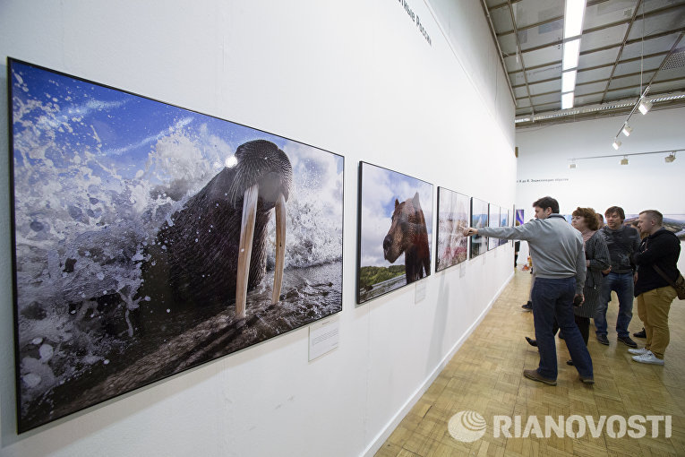 Посетители на фотовыставке, которая открылась в рамках III Общероссийского фестиваля природы Первозданная Россия в Центральном Доме Художника в Москве Посетители на фотовыставке, которая открылась в рамках III Общероссийского фестиваля природы Первозданная Россия в Центральном Доме Художника в Москве