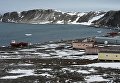 На острове Ватерлоо в Антарктиде На острове Ватерлоо в Антарктиде