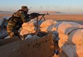 Боевые действия сирийской армии в окрестностях Пальмиры Боевые действия сирийской армии в окрестностях Пальмиры