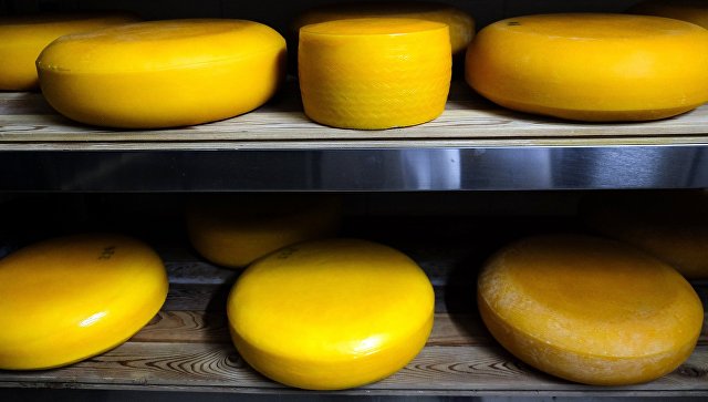 На Кубани построят новый завод по производству сыров