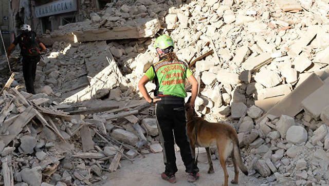 Сотрудники спасательных служб работают на месте завалов в городе Аматриче
