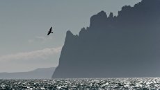 Гора Кара-Даг в поселке Орджоникидзе в Крыму. Архивное фото Гора Кара-Даг в поселке Орджоникидзе в Крыму. Архивное фото