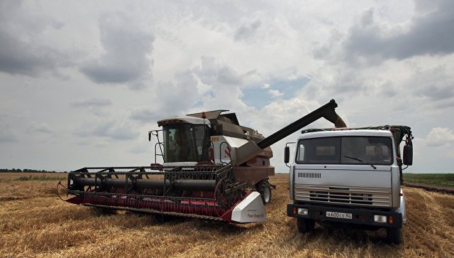 В Крыму нет недостатка зерна, несмотря на засуху, заявили в Минсельхозе