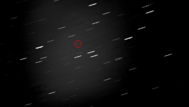Фотография «невидимой» кометы была выложена в интернет