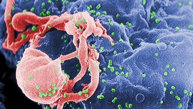 Картинки по запросу Ученые нашли антитело, нейтрализующее почти 90% штаммов ВИЧ