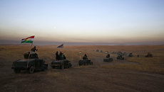 Наступление правительственных сил и формирований пешмерга на Мосул в Ираке Наступление правительственных сил и формирований пешмерга на Мосул в Ираке