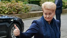 Президент Литвы Даля Грибаускайте перед открытием саммита ЕС в Брюсселе Президент Литвы Даля Грибаускайте перед открытием саммита ЕС в Брюсселе