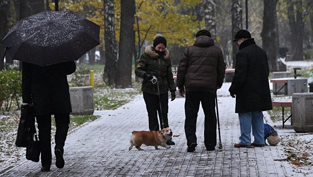 Толщина снежного покрова в Москве достигла 5 см