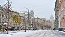 Высадка деревьев на Садовом кольце. Архивное фото Высадка деревьев на Садовом кольце. Архивное фото