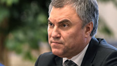 Председатель Государственной Думы РФ Вячеслав Володин. Архивное фото Председатель Государственной Думы РФ Вячеслав Володин. Архивное фото