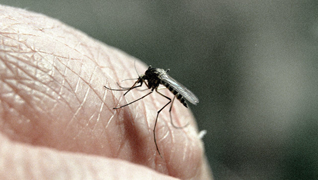 ВОЗ: малярия остается острой проблемой для человечества