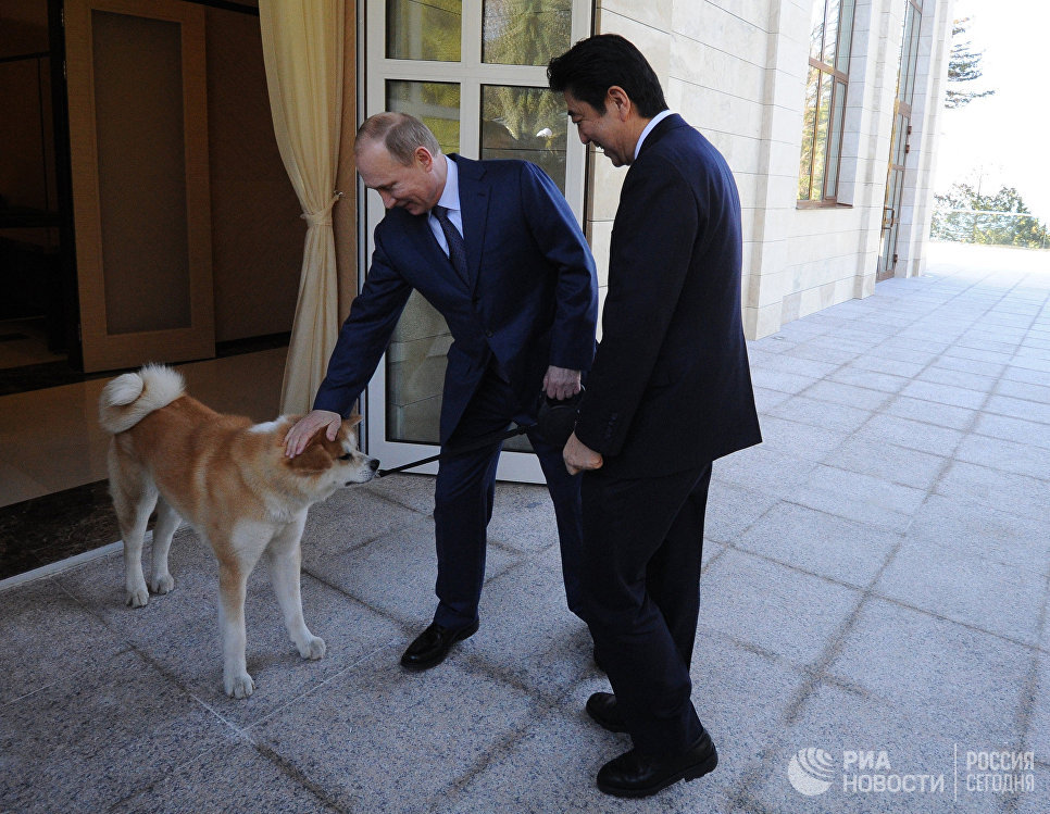 Владимир Путин и Синдзо Абэ во время встречи в резиденции Бочаров ручей. Собака по кличке Юмэ - породы акито-ину