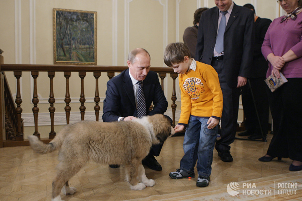 Владимир Путин в подмосковной резиденции Ново-Огарево встретился с Димой Соколовым, который придумал кличку для собаки. Новую собаку премьер-министра РФ В.Путина, которую ему подарили в Болгарии, будут звать Баффи