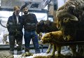 Посетители в зоологическом музее Санкт-Петербурга Посетители в зоологическом музее Санкт-Петербурга