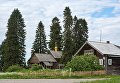 Карельская деревня Кинерма признана самой красивой деревней России Карельская деревня Кинерма признана самой красивой деревней России