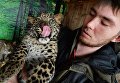 Пополнение в зоопарке Чудесный в Приморском крае Пополнение в зоопарке Чудесный в Приморском крае