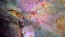 The Orion Nebula