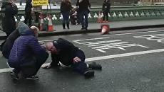 В Лондоне у здания парламента произошла стрельба. Видео с места событий В Лондоне у здания парламента произошла стрельба. Видео с места событий