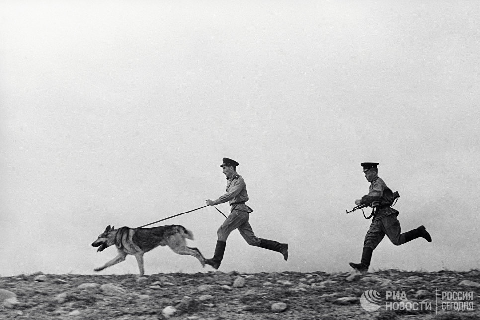 Хотя собранные на границе советские войска. Пограничник с собакой. Советские пограничники. Пограничники на заставе. Собака на границе.