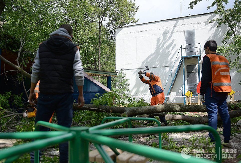 Работники коммунальных служб рубят ветки поваленных деревьев в одном из дворов Москвы Работники коммунальных служб рубят ветки поваленных деревьев в одном из дворов Москвы