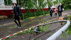 Последствия сильного ветра. Архивное фото Последствия сильного ветра. Архивное фото