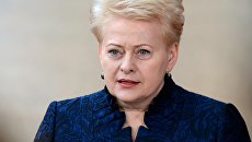 Президент Литвы Даля Грибаускайте. Архивное фото Президент Литвы Даля Грибаускайте. Архивное фото