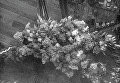 22 июня 1941 года немецкая авиация бомбит советские города 22 июня 1941 года немецкая авиация бомбит советские города