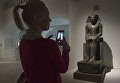 Посетительница на выставке Нефертари и Долина Цариц из Египетского музея в Турине в Государственном Эрмитаже в Санкт-Петербурге Посетительница на выставке Нефертари и Долина Цариц из Египетского музея в Турине в Государственном Эрмитаже в Санкт-Петербурге