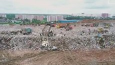 Последний день работы свалки в Балашихе Последний день работы свалки в Балашихе