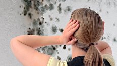 Девушка в комнате с плесенью на стенах Девушка в комнате с плесенью на стенах