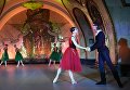 Артисты Кремлёвского балета во время показа фрагментов из лучших спектаклей театра в рамках представления Ночь русского балета на платформе станции московского метрополитена Новослободская Артисты Кремлёвского балета во время показа фрагментов из лучших спектаклей театра в рамках представления Ночь русского балета на платформе станции московского метрополитена Новослободская