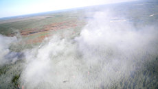 Лесной пожар в зоне отчуждения Чернобыльской АЭС Лесной пожар в зоне отчуждения Чернобыльской АЭС