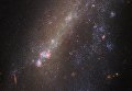 Галактики IC 1727 и NGC 672, столкнувшиеся в недавнем прошлом Галактики IC 1727 и NGC 672, столкнувшиеся в недавнем прошлом