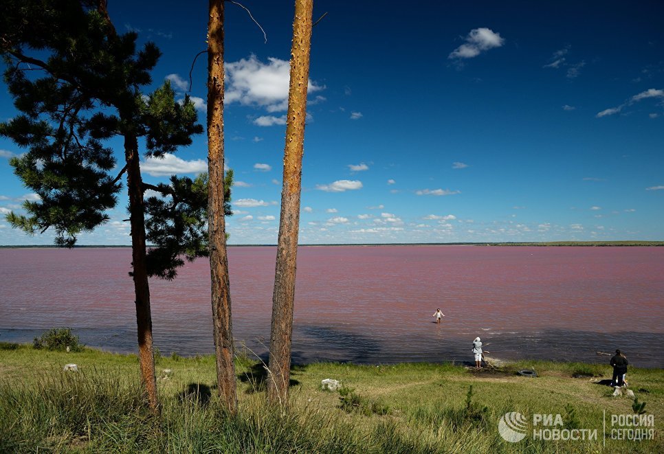 Розовое озеро алтайский край фото