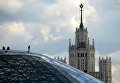 Стеклянная кора в природно-ландшафтном парке Зарядье в Москве Стеклянная кора в природно-ландшафтном парке Зарядье в Москве