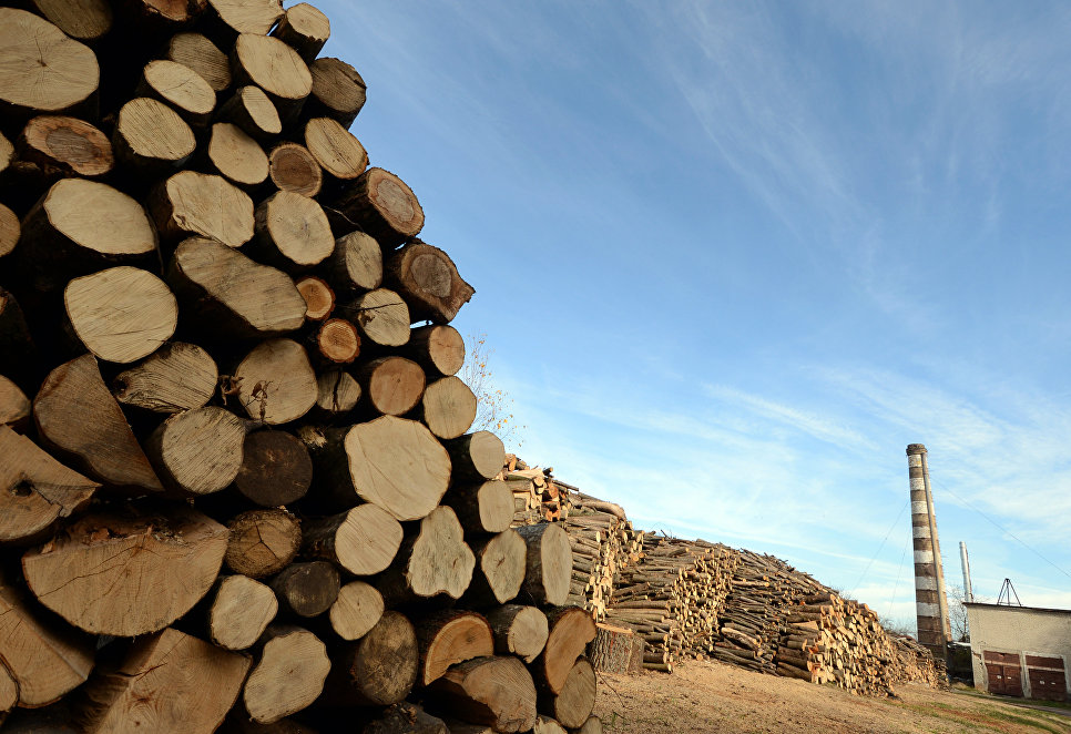 Утром — лес, вечером — деньги: почему Брюссель больше не дает кредиты Киеву