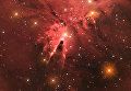 Снимок фотографа Джейсона Грина из Гибралтара The Cone Nebula (NGC 2264), получивший специальный приз за лучший дебют в фотоконкурсе Insight Astronomy Photographer of the Year 2017 Снимок фотографа Джейсона Грина из Гибралтара The Cone Nebula (NGC 2264), получивший специальный приз за лучший дебют в фотоконкурсе Insight Astronomy Photographer of the Year 2017