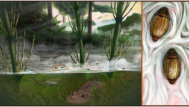 Реконструкция внешнего вида и среды обитания мезозойских вертячек вида Mesogyrus antiquus