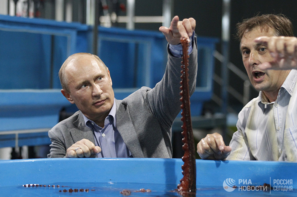 Президент России Владимир Путин во время посещения научно-образовательного комплекса Приморский океанариум на острове Русский во Владивостоке 6 сентября 2012 Президент России Владимир Путин во время посещения научно-образовательного комплекса Приморский океанариум на острове Русский во Владивостоке 6 сентября 2012